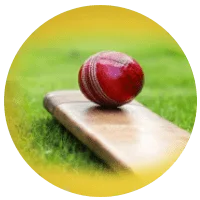 cricket